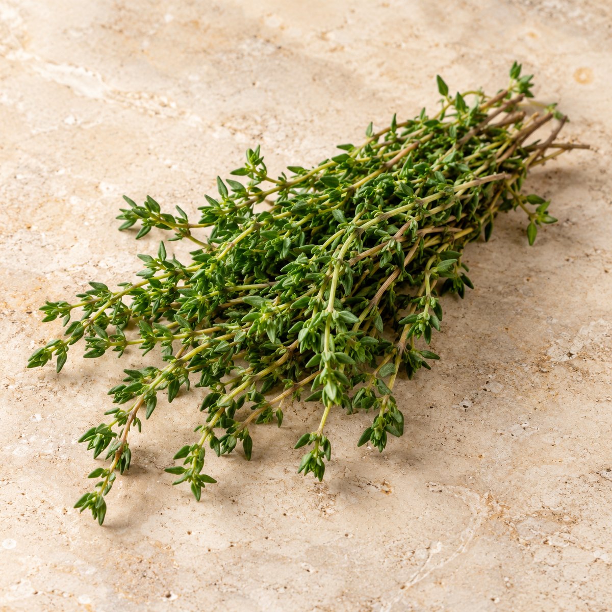 Fresh Thyme